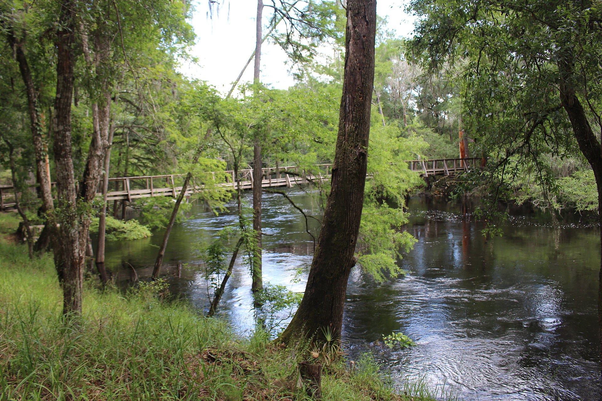 CCC-built suspension bridge over the Santa Fe River at O'Leno State Park