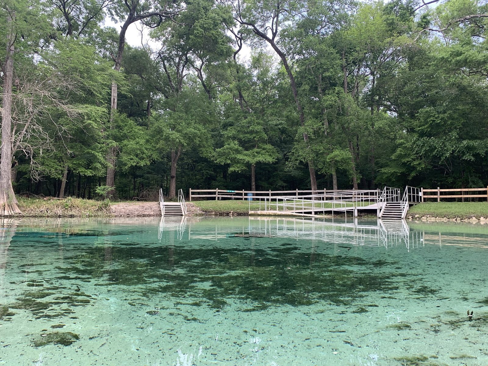 Clear green water at Rum Island Spring with a wooden ramp and railing