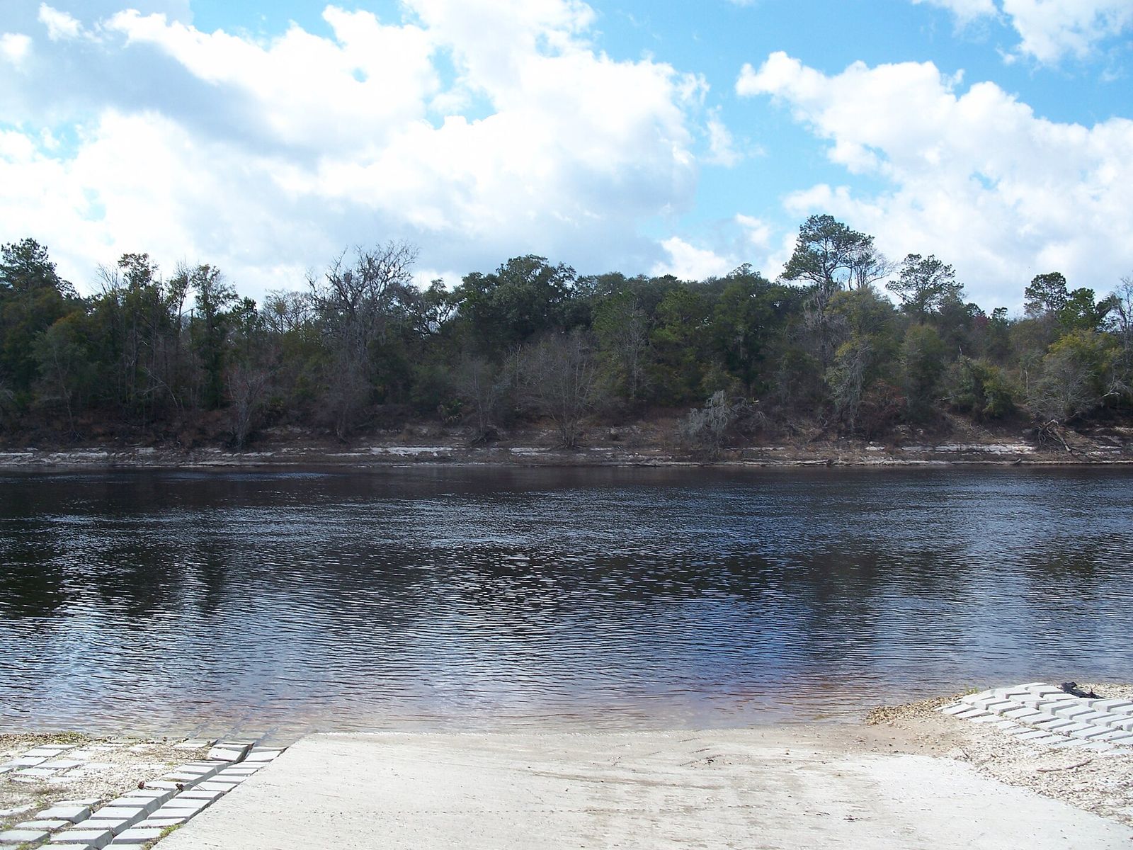 Concrete boat ramp running into the dark Suwannee River at Branford, with a forested far bank
